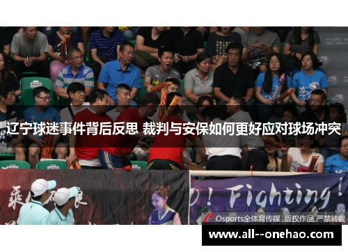 辽宁球迷事件背后反思 裁判与安保如何更好应对球场冲突